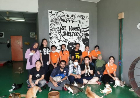 SISA Organised Community Service at Animal Shelter